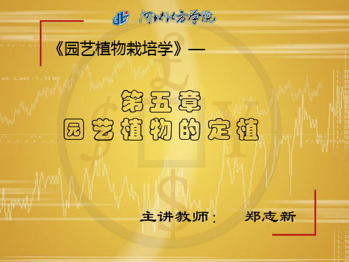 园艺植物的定植