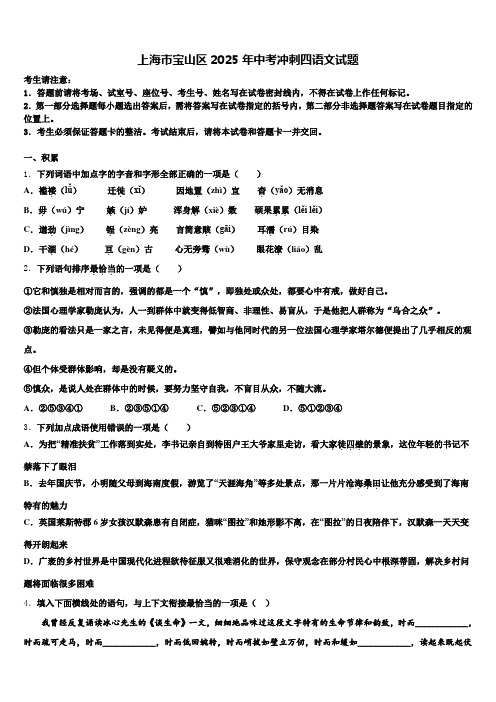 上海市宝山区2025年中考冲刺四语文试题含解析