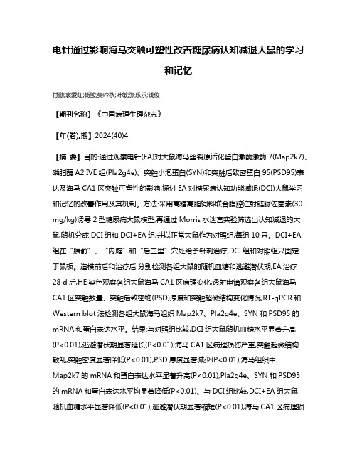 电针通过影响海马突触可塑性改善糖尿病认知减退大鼠的学习和记忆