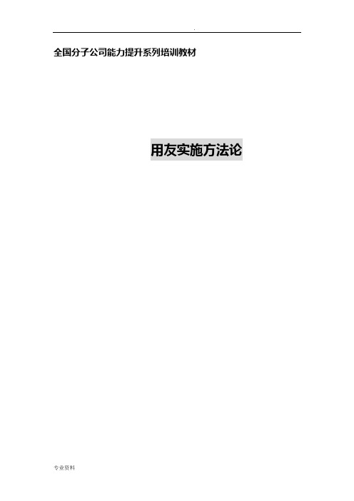 用友实施方法论