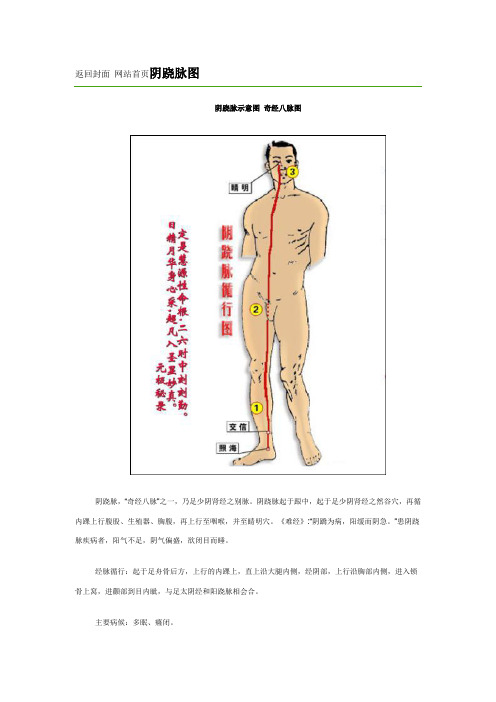 阴跷脉图