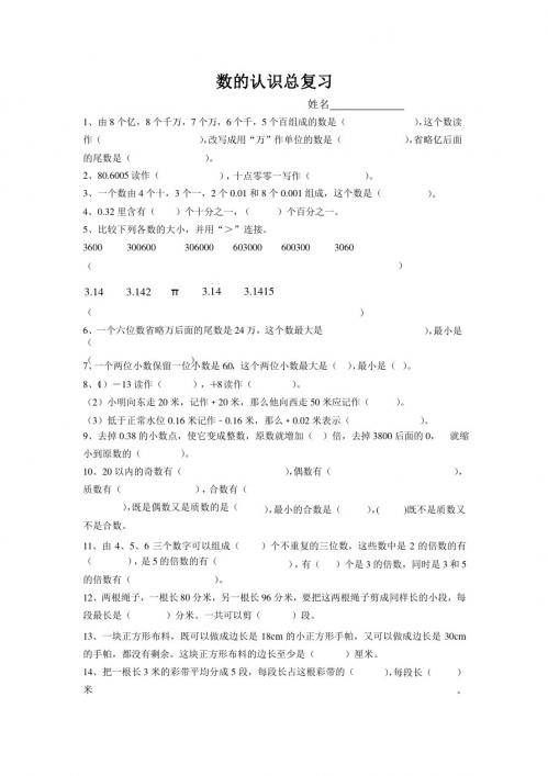 新人教版六年级数学下册数的认识总复习练习题