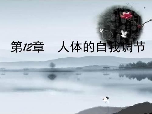 北师大初中生物七下《12第12章 人体的自我调节》PPT课件