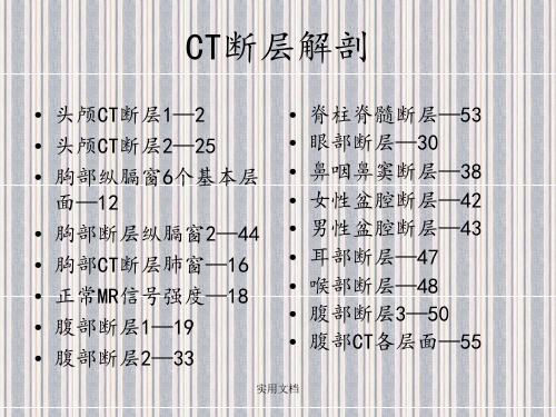 CT断层解剖