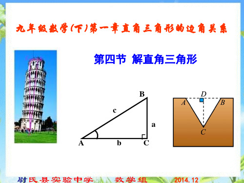 北师大版九学年数学下册课程教案解直角三角形