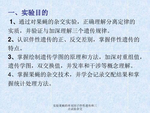 实验果蝇的单双因子伴性遗传和三点试验杂交