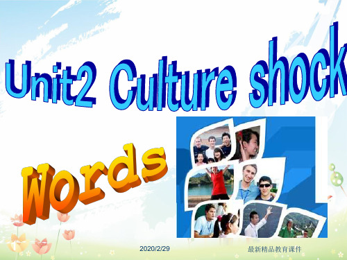 最新牛津深圳版初中英语九年级级下Unit2 Culture shock教学课件 words