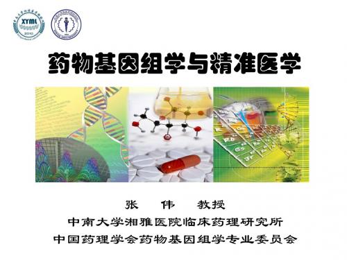 临床药理学-个体化药物治疗与精准医学