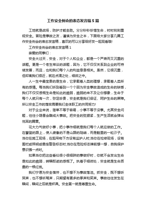 工作安全例会的表态发言稿5篇