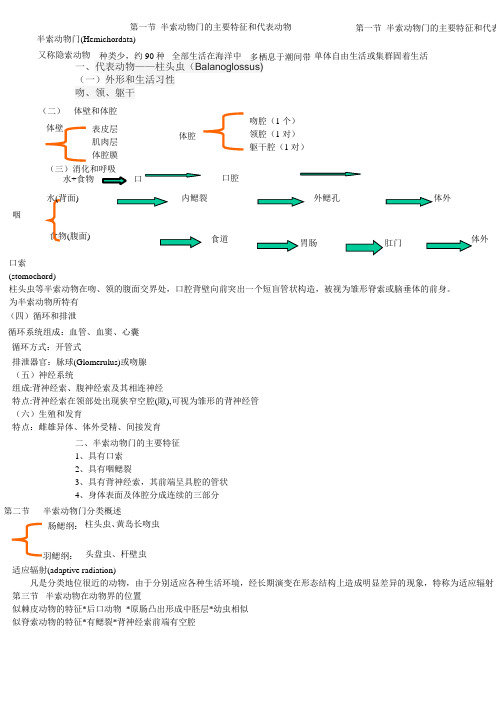 半索动物