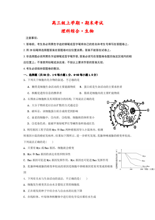 高三上学期期末考试生物试题含答案 (2)