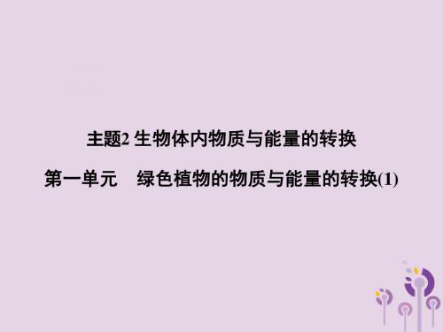 浙江省中考科学(生物部分)第一篇主题2第一单元绿色植物的物质与能量的转换(1)课件