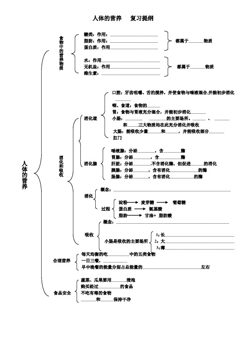 人体的营养   复习提纲