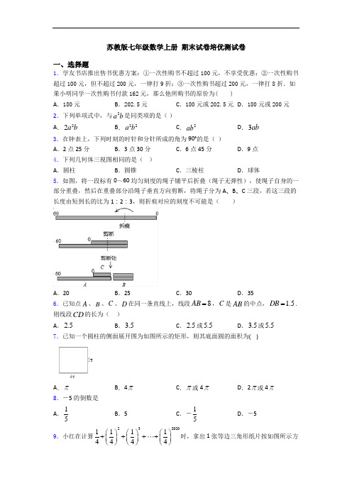 苏教版七年级数学上册 期末试卷培优测试卷