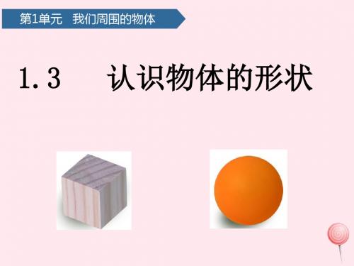 一年级科学下册我们周围的物体3认识物体的形状课件教科版
