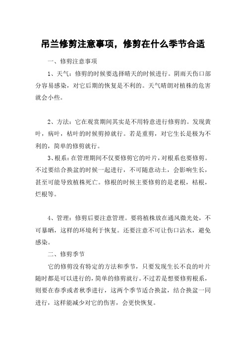 吊兰修剪注意事项,修剪在什么季节合适