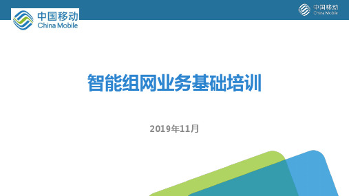 智能组网基础培训201911