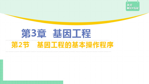 3.2基因工程的基本操作程序