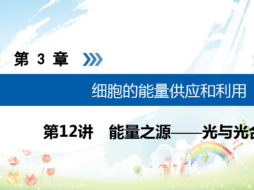 高考生物大一轮复习第12讲能量之源__光与光合作用优盐件