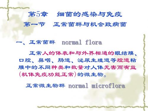 医学微生物学感染与免疫