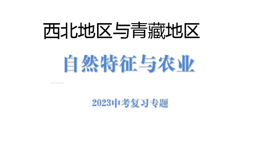 中考地理复习 西北地区与青藏地区 课件(共19张PPT)