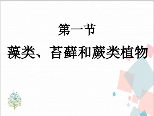 《藻类、苔藓和蕨类植物》_实用课件