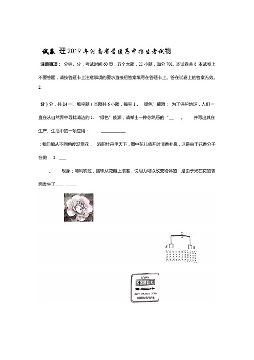 2019  河南中考物理试卷 配答案