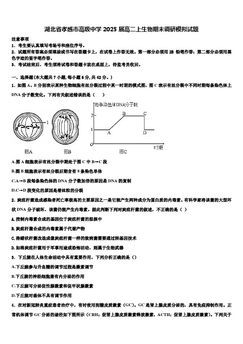 湖北省孝感市高级中学2025届高二上生物期末调研模拟试题含解析