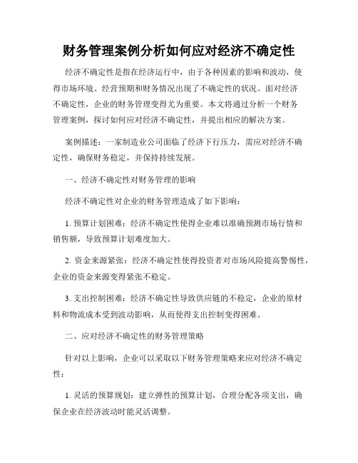 财务管理案例分析如何应对经济不确定性