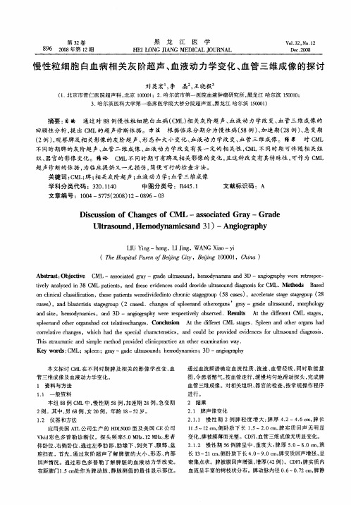 慢性粒细胞白血病相关灰阶超声、血液动力学变化、血管三维成像的探讨