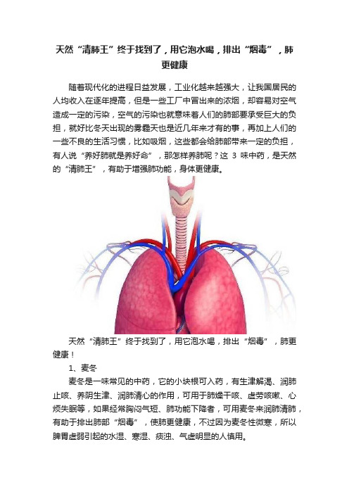 天然“清肺王”终于找到了，用它泡水喝，排出“烟毒”，肺更健康