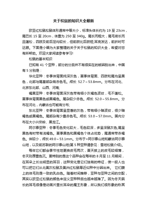 关于松鼠的知识大全最新