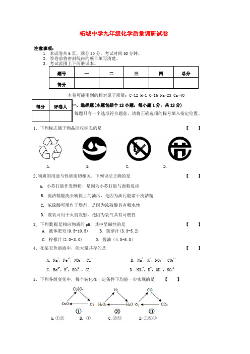 河南省商丘市柘城县柘城中学2016届九年级化学下学期第一次阶段性考试试题