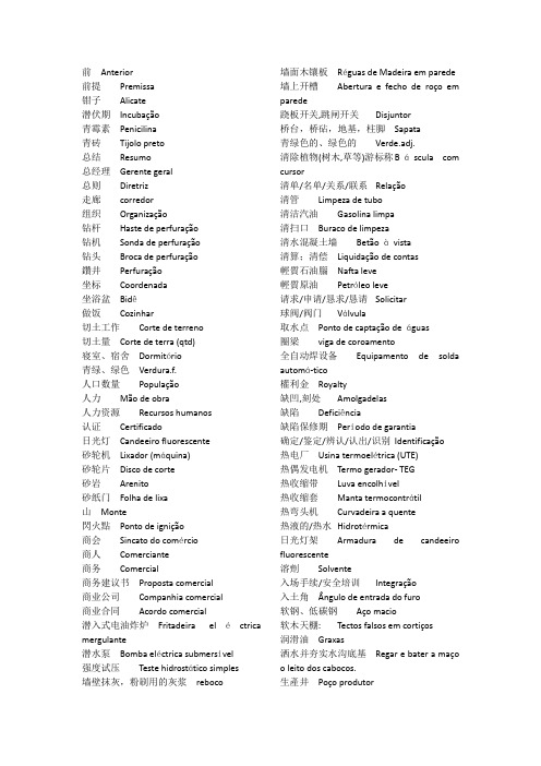 工程类实用葡语