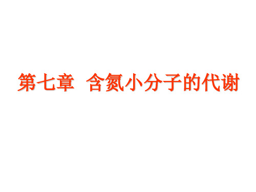 动物生化第七篇含氮小分子代谢1