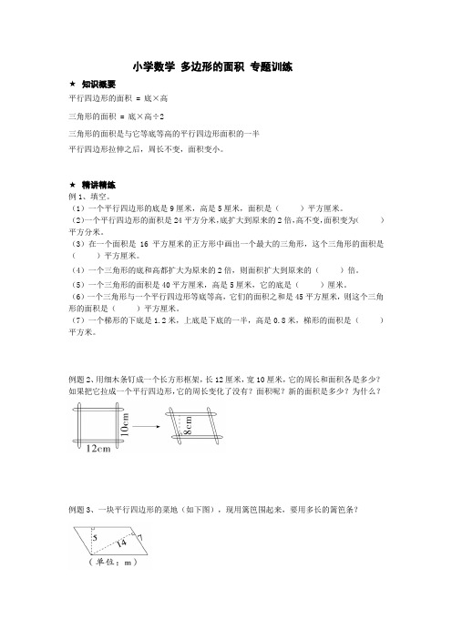 小学数学 多边形的面积 专题训练 完整版例题+课后作业