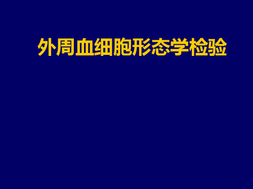 血涂片、红细胞形态PPT课件