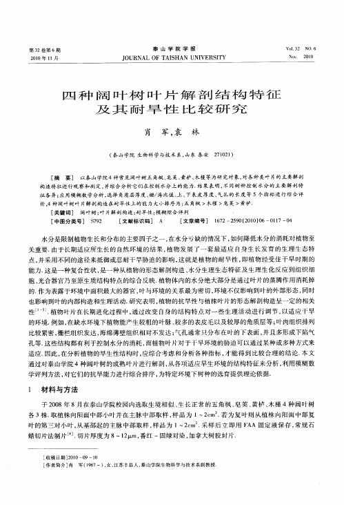 四种阔叶树叶片解剖结构特征及其耐旱性比较研究