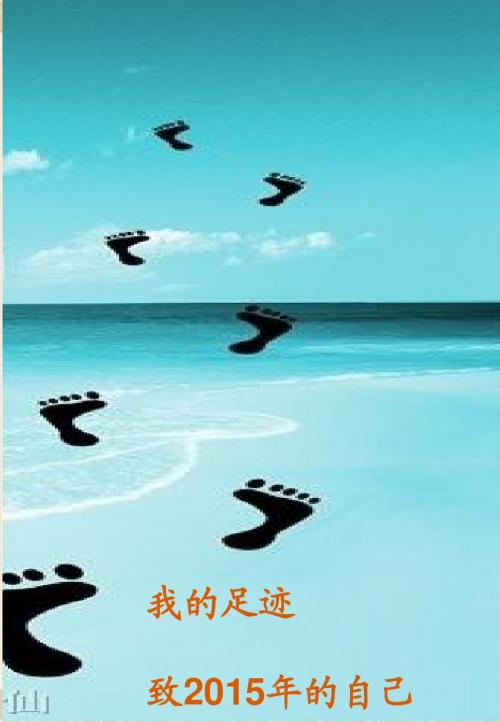 《青年教师成长》档案参考范例