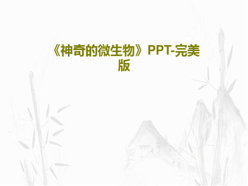 《神奇的微生物》PPT-完美版38页PPT