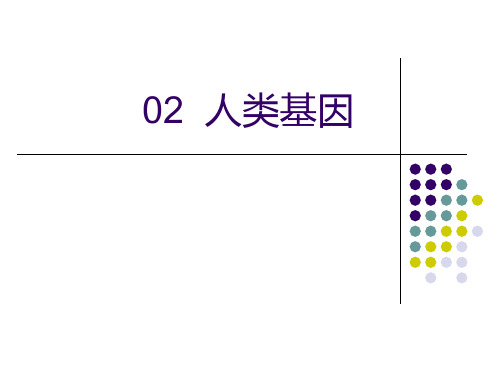 02人类基因