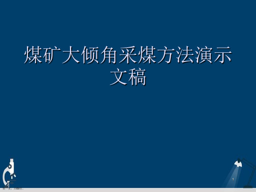 煤矿大倾角采煤方法演示文稿