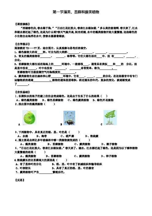 七年级生物上册3.1.1藻类、苔藓和蕨类植物研学案