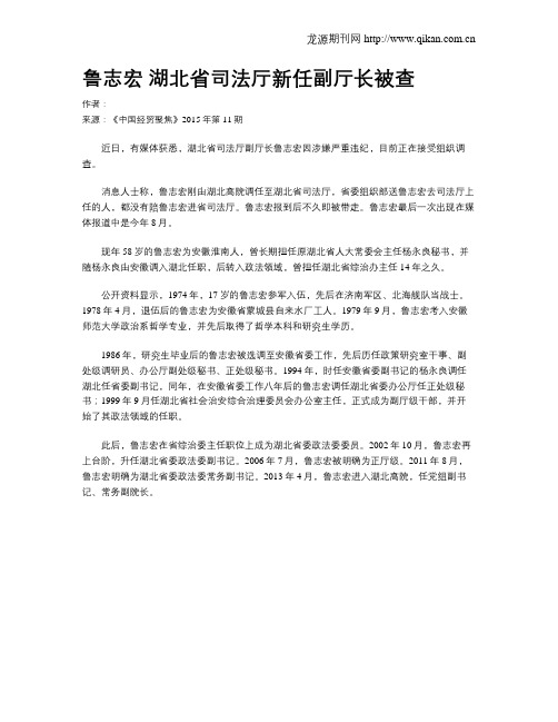 鲁志宏 湖北省司法厅新任副厅长被查