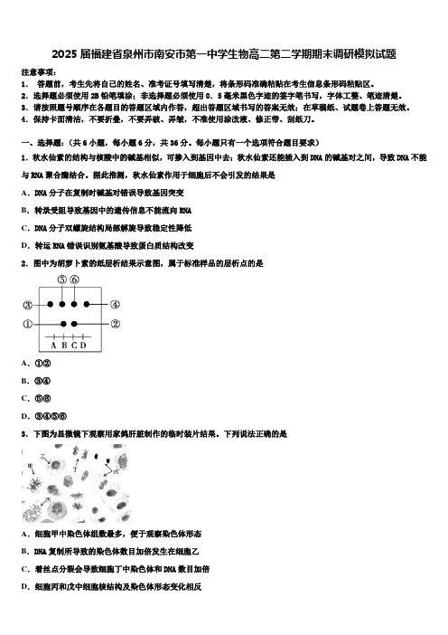 2025届福建省泉州市南安市第一中学生物高二第二学期期末调研模拟试题含解析