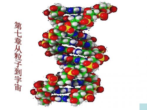 苏教版物理八年级下册7.1走进分子世界