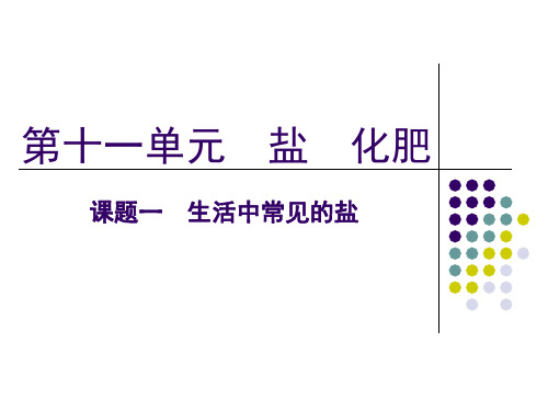 初中化学课件：第十一单元_第一课时_生活中常见的盐课件