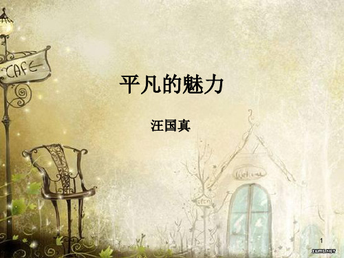 平凡的魅力ppt课件