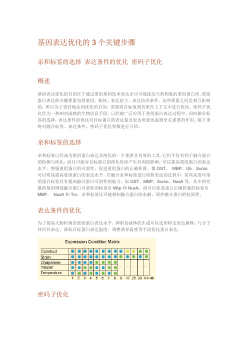 基因表达优化的3个关键步骤