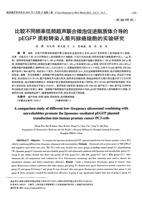 比较不同频率低频超声联合微泡促进脂质体介导的pEGFP质粒转染人前